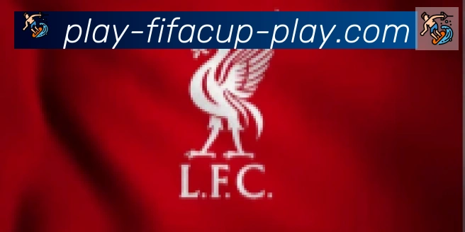 FIFA世界杯竞猜官方网站合作伙伴
